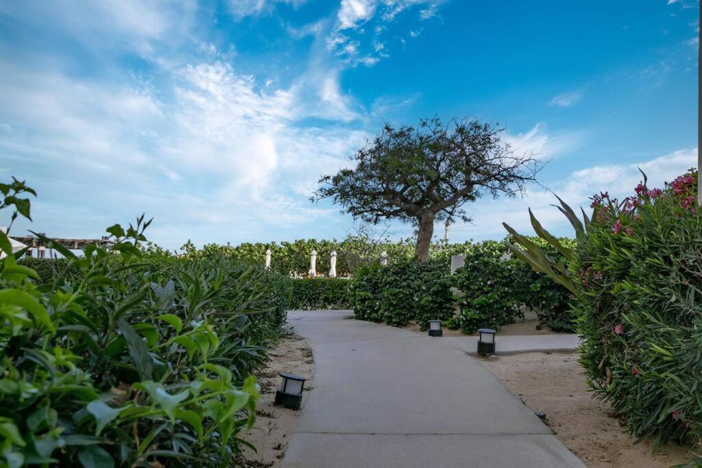 Exquisite 3Br Condo Ocean Views Access Resorts カボ・サン・ルーカス エクステリア 写真